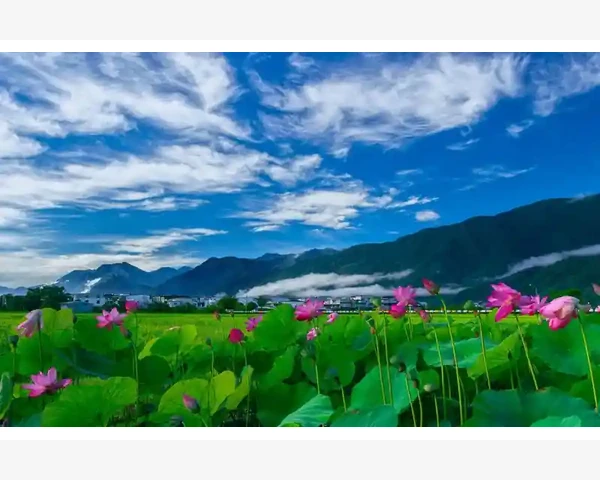 中医告诉你：肾亏可以通过中药调理！驱走亚健康，迎接健康生活！