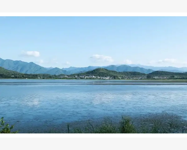 增强脾胃功能，中药助你健康有活力！